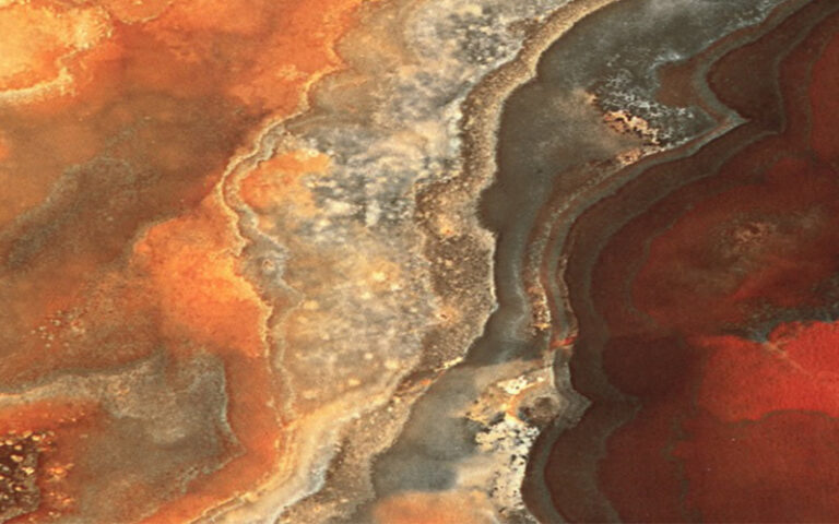 دیوار پوش پلاستیکی